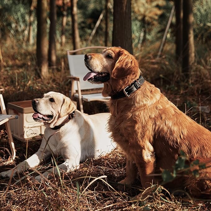 Dog Collar, Genuine Leather Dog Collar, Heavy Duty Dog Collar, Wide Dog Collar for Small Dog, Medium Dog, Large Dog and Extra Large Dog (L: 1.2" Wide for 16.2"-22" Neck, Dual Stitch - Black) DAIHAQIKO