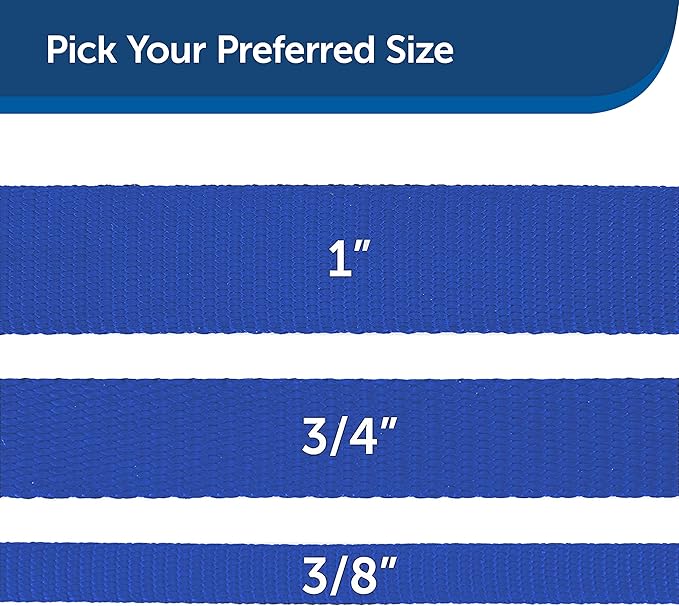 PetSafe Nylon Dog Leash – Strong, Durable, Traditional Style Leash with Easy to Use Bolt Snap – 1" x 6', Royal Blue - PAWPICO