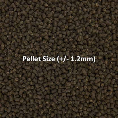 Ocean Nutrition Formula Two Pellets - Fish Food for Herbivorous & Omnivorous Marine Tropical Fish, High Protein(40%) - 3.5 oz (100 g) Small Pellets OceanNutrition
