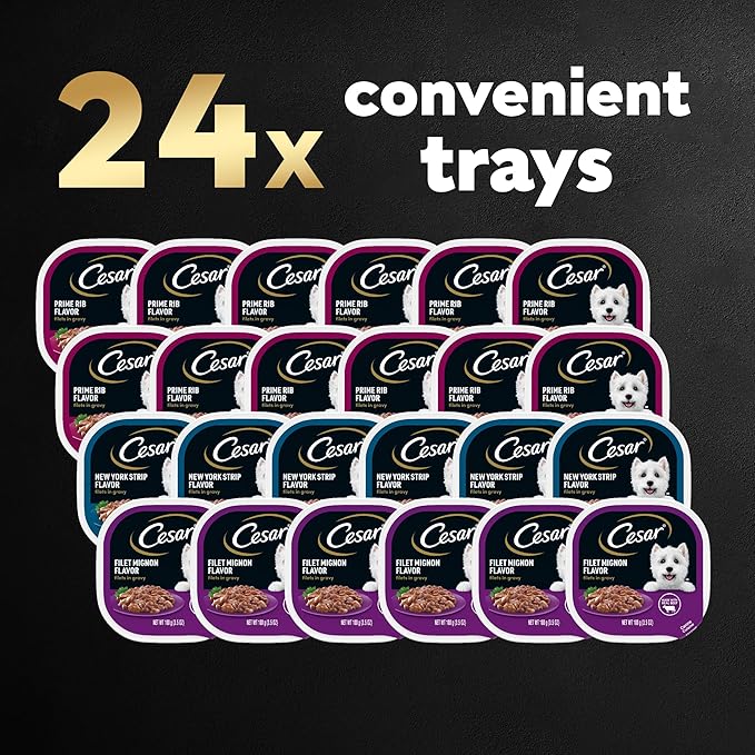 CESAR Adult Soft Wet Dog Food Filets in Gravy Variety Pack, Filet Mignon, New York Strip and Prime Rib Flavors, (24) 3.5 oz. Trays - PAWPICO