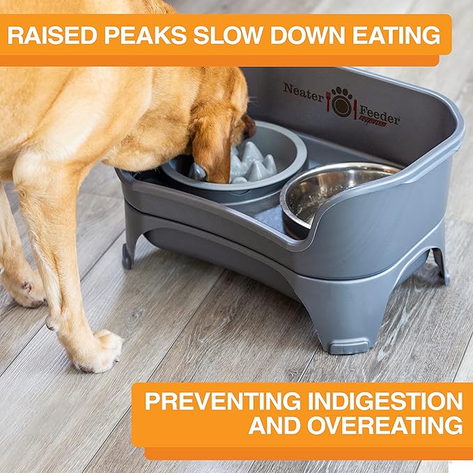 Neater Feeder Express Medium to Large Mess Proof Feeder for Dogs, 2 Cup Slow Feed Bowl & 7 Cup Stainless Steel Water Bowl, No Spill, Non-Tip, Non-Slip, Elevated Dog Bowls. Aids Digestion. Made in USA - PAWPICO
