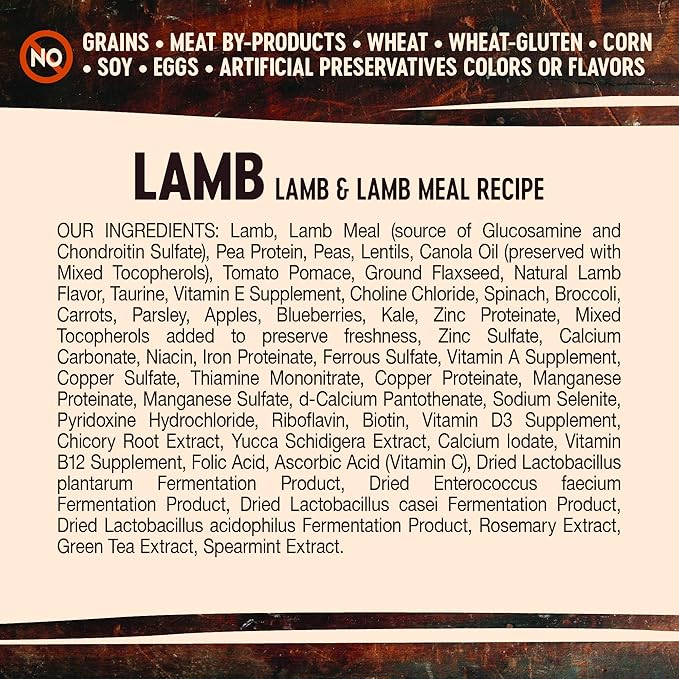 Wellness Core Natural Grain Free Dry Dog Food, Lamb, 4-Pound Bag (Pack of 2) - PAWPICO