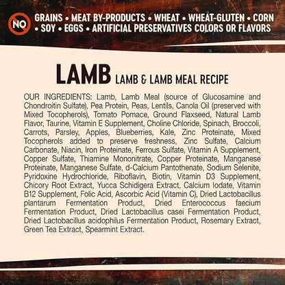 Wellness Core Natural Grain Free Dry Dog Food, Lamb, 4-Pound Bag (Pack of 2) - PAWPICO