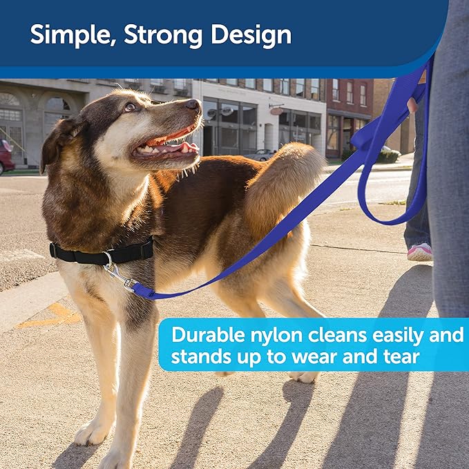 PetSafe Nylon Dog Leash – Strong, Durable, Traditional Style Leash with Easy to Use Bolt Snap – 1" x 6', Royal Blue - PAWPICO