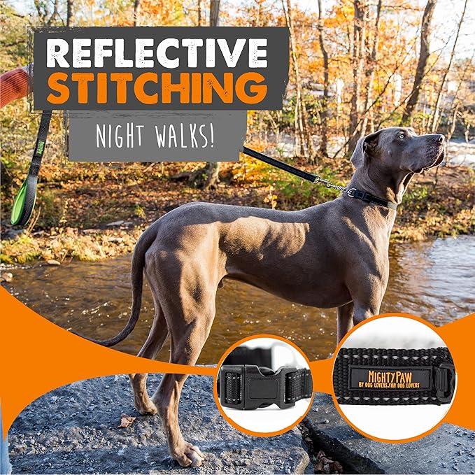 Mighty Paw Martingale Dog Collar 2.0 | Trainer Approved Limited Slip Collar with Stainless Steel Chain & Heavy Duty Buckle - Modified Cinch Collar for Gentle & Effective Pet Training - Medium, Black MightyPaw