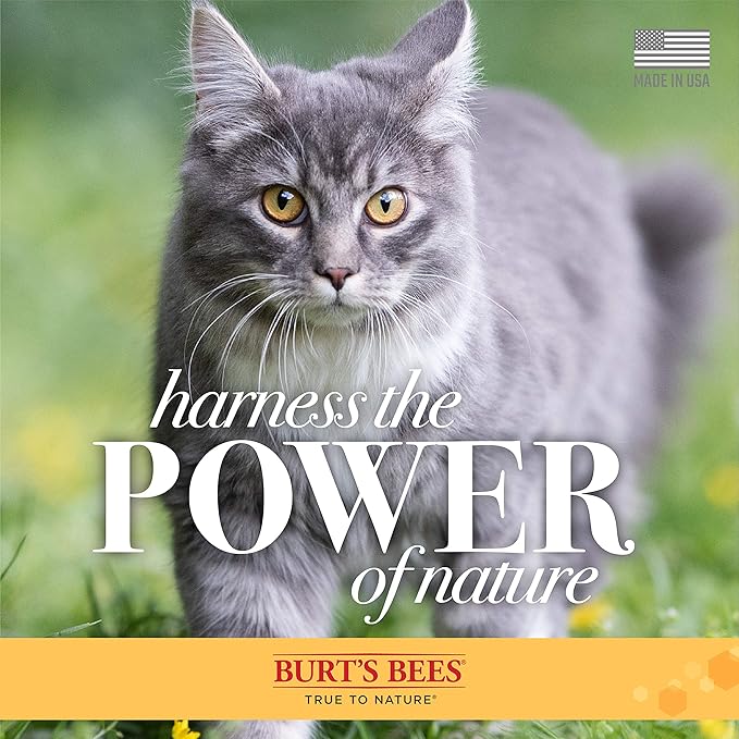 Burt's Bees for Pets Cat Naturally Derived Waterless Shampoo with Shea Butter and Honey - Cat Waterless Shampoo Spray - Easy to Use Cat Dry Shampoo - Made in the USA, 10 Oz - 6 Pack - PAWPICO