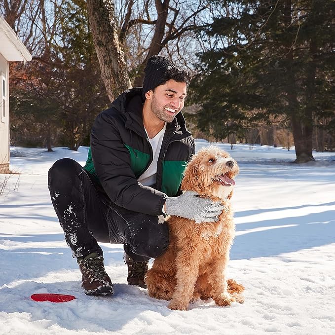 Milk-Bone Limited Edition Winter Pawliday Soft & Chewy Dog Treats, Chicken Recipe, 4.5 Ounce (Pack of 10) - PAWPICO