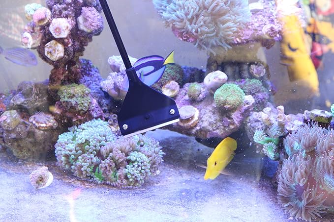 Aquarium Algae Scraper Cleaner Brush with 10 Stainless Steel Blades for Fish Reef Plant Glass Tank 26 Inch QANVEE