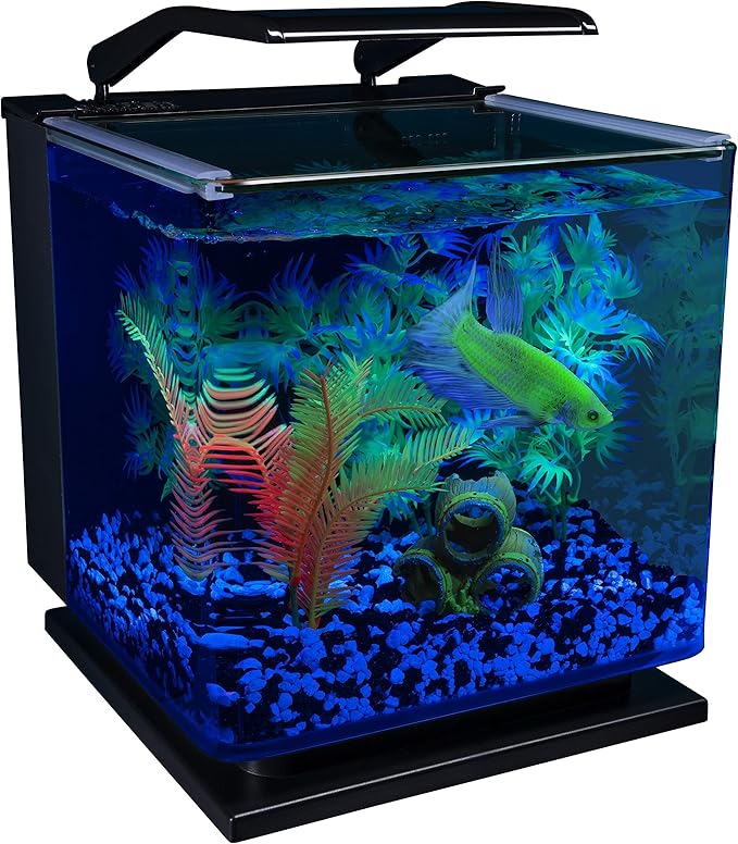 GloFish Betta Shadowbox Aquarium Kit GloFish