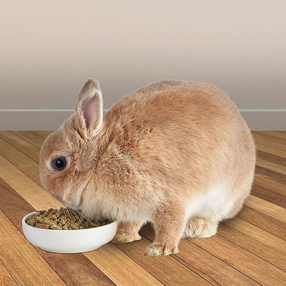 Kaytee Timothy Complete Rabbit Food 4.5 lb Kaytee