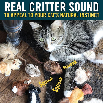 OurPets Play-N-Squeak Mouse Hunter Cat Toy (Interactive Cat Toy & Catnip Toy with Real Mouse Electronic Sound) Perfect Toys for Indoor Cats with Catnip - PAWPICO