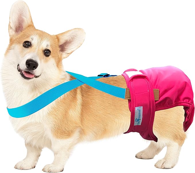Paw Inspired Dog Diaper Suspenders with Velcro Fasteners | Stretchy Adjustable Suspenders for Female and Male Disposable and Washable Diapers | Fits Small, Medium and Large Size Pets (S/M, Blue) - PAWPICO