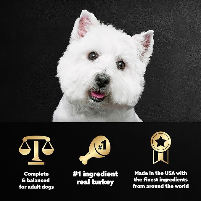 CESAR Soft Wet Dog Food Filets in Gravy Turkey Recipe, (24) 3.5 oz. Easy Peel Trays - PAWPICO