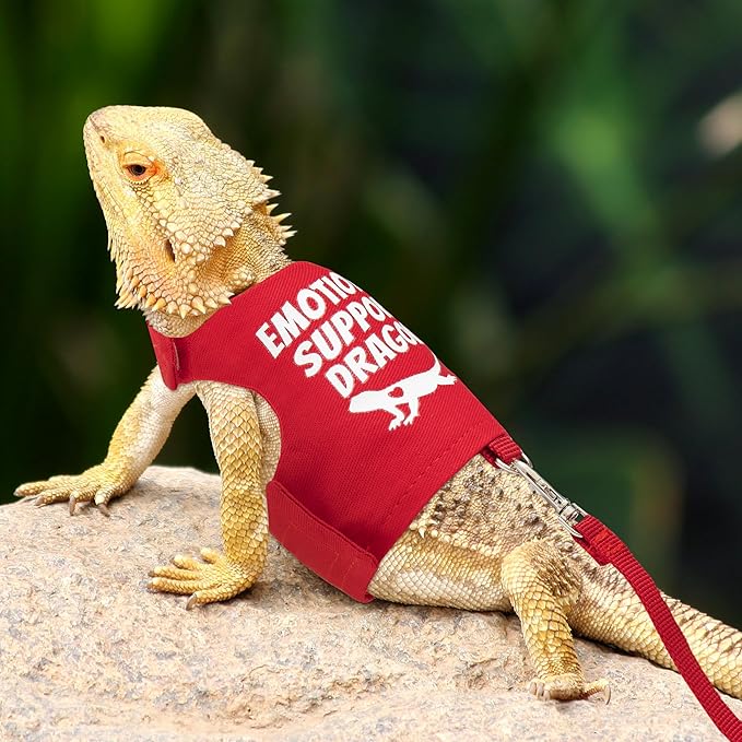 Bearded Dragon Harness and Leash Set - Escape Proof Adjustable Lizard Reptiles Harness with 5 ft Short Leash for Walking Outdoor tukoaw