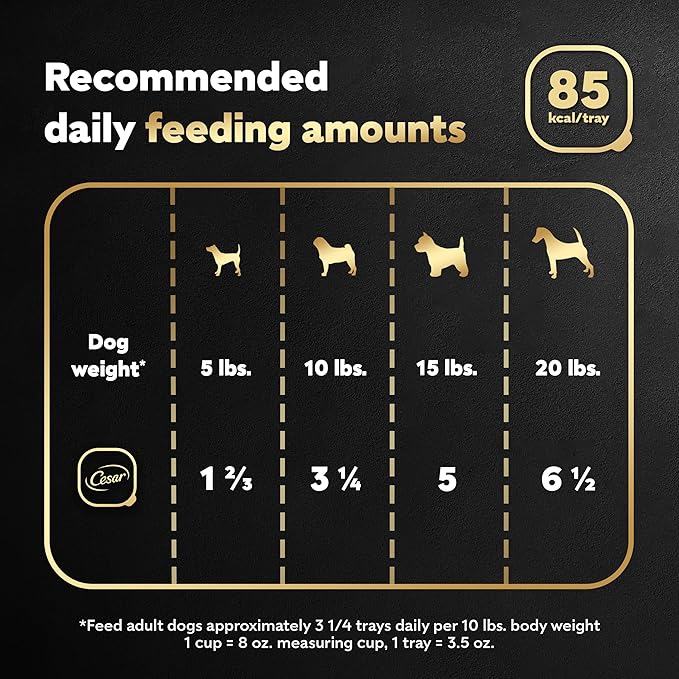 CESAR Filets in Gravy Adult Wet Dog Food, Rotisserie Chicken Flavor, 3.5 oz., Pack of 24 - PAWPICO