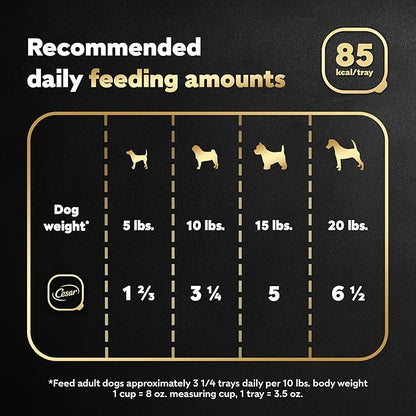 CESAR Filets in Gravy Adult Wet Dog Food, Rotisserie Chicken Flavor, 3.5 oz., Pack of 24 - PAWPICO