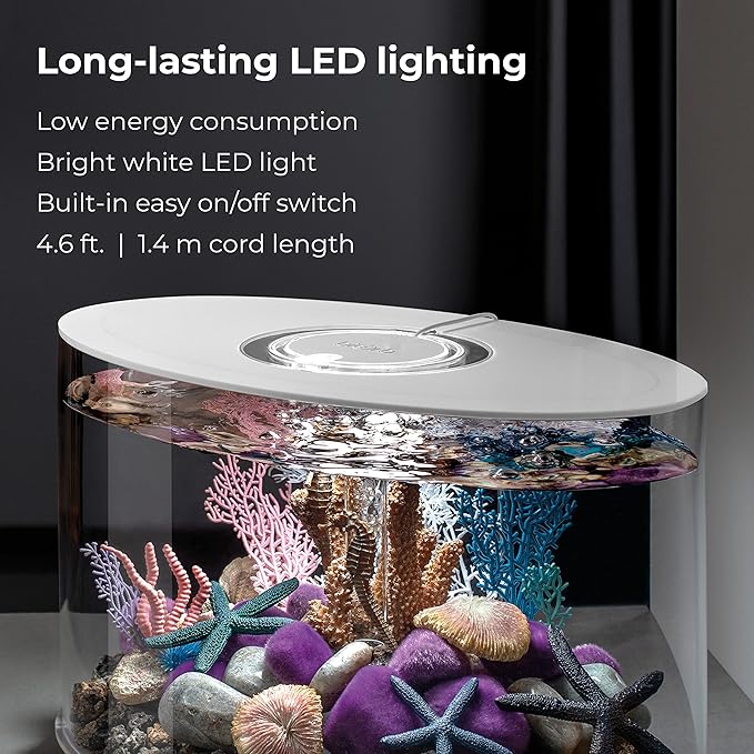 biOrb Loop 15 Acrylic 4-Gallon Aquarium with White LED Lights Modern Compact Tank for Tabletop or Desktop Display, White-Trimmed Tank biOrb