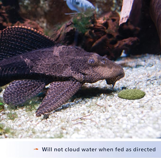 Aqueon Algae Rounds 3 Ounces Aqueon