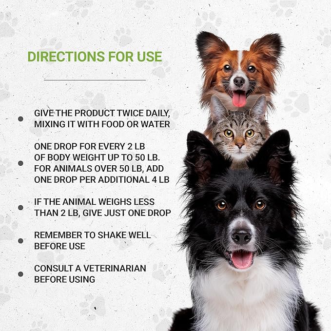 Lion's Blood Pressure | Natural Herbal Dietary Supplement for Cats | Healthy Blood Pressure Support in Cats | Alcohol-Free Extract, Hawthorn, Buchu, Garlic, Celery 2 oz SecretsOfTheTribe