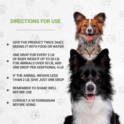 Lion's Blood Pressure | Natural Herbal Dietary Supplement for Cats | Healthy Blood Pressure Support in Cats | Alcohol-Free Extract, Hawthorn, Buchu, Garlic, Celery 2 oz SecretsOfTheTribe