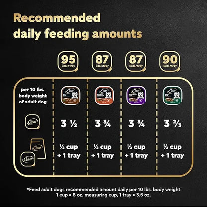 CESAR Adult Wet Dog Food Classic Loaf in Sauce Poultry Variety Pack,. Easy Peel Trays with Real Chicken, Turkey or Duck, 3.5 Ounce (Pack of 24) - PAWPICO