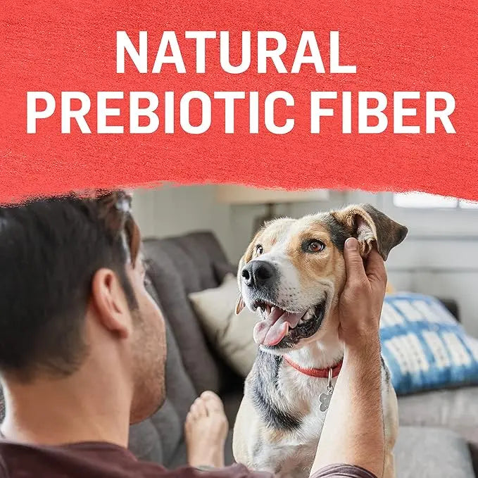 Purina Beyond Grain Free, Natural Pate Wet Dog Food, Chicken & Beef Recipe Variety Pack - (12) 13 oz. Cans - PAWPICO