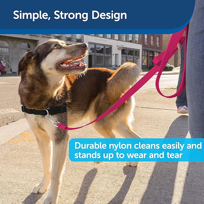 PetSafe Nylon Dog Leash – Strong, Durable, Traditional Style Leash with Easy to Use Bolt Snap for Small, Medium and Large Dogs - 3/4 in. x 6 ft., Raspberry PetSafe