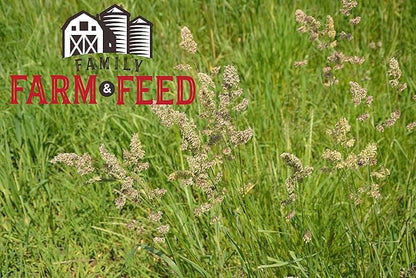 | Timothy Grass Food | Small Pet | Young and Adult | Cubes | 3 Pounds FAMILY+FARM+AND+FEED