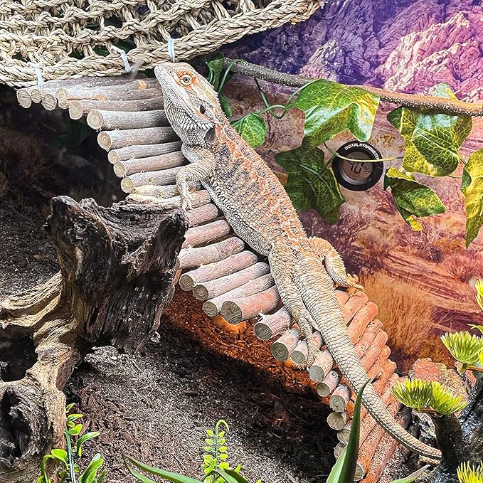 HERCOCCI Bearded Dragon Tank Accessories, Large Reptile Bridge Hammock Flexible - Jungle Climbing Vines and Leaves with Suction Cups Habitat Décor for Hiding& Climbing Snake Gecko Lizard Chameleon HERCOCCI