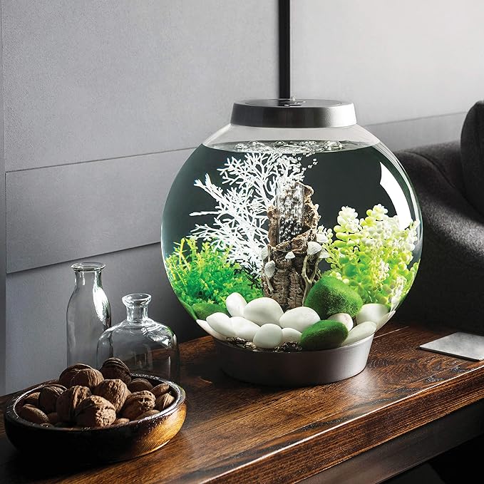 biOrb CLASSIC 15 Aquarium with LED - 4 gallon, Silver biOrb