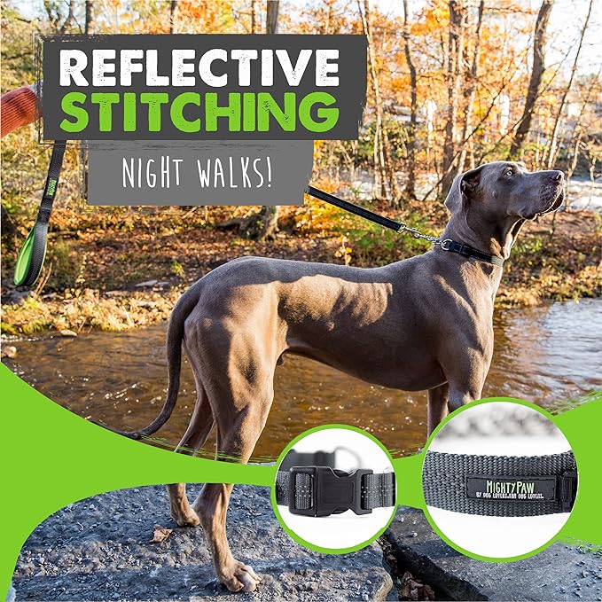 Mighty Paw Martingale Dog Collar 2.0 | Trainer Approved Limited Slip Collar with Stainless Steel Chain & Heavy Duty Buckle - Modified Cinch Collar for Gentle & Effective Pet Training - Medium, Grey MightyPaw
