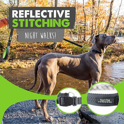 Mighty Paw Martingale Dog Collar 2.0 | Trainer Approved Limited Slip Collar with Stainless Steel Chain & Heavy Duty Buckle - Modified Cinch Collar for Gentle & Effective Pet Training - Small, Grey MightyPaw
