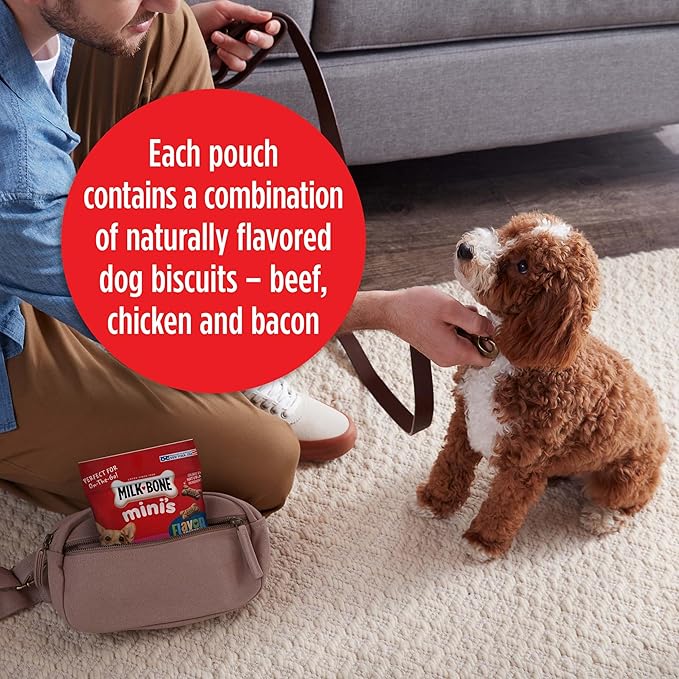 Milk-Bone Mini's Flavor Snacks Dog Treats, 2.5 Ounce (Pack of 20), Perfect for Walks, Travel Size, Party Favor - PAWPICO