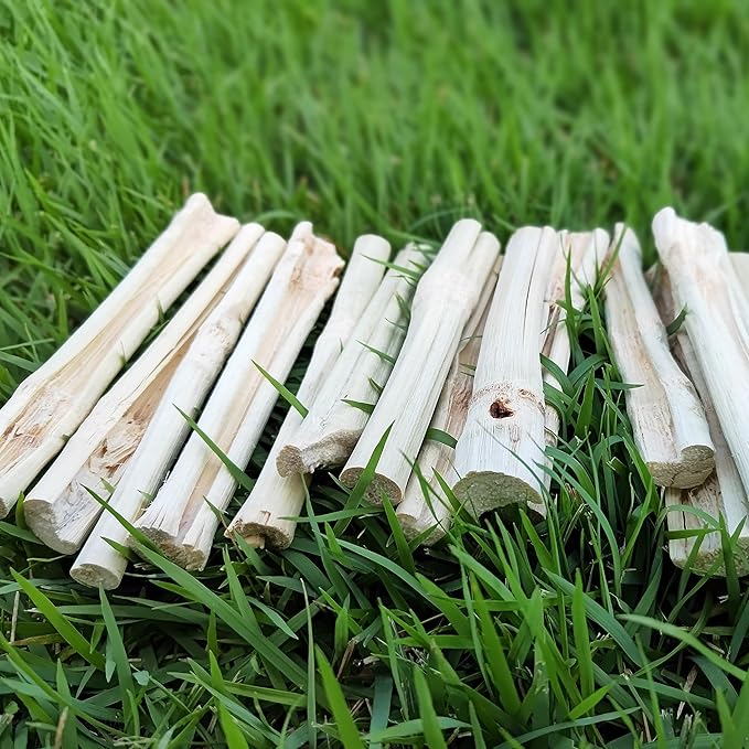 HIIMALEX Bunny Snacks 300g/10oz. Sweet Bamboo Molar Chew Treat Sticks for Rabbits Guinea Pigs Hamsters Small Animal MakeTheKingdomforYourBunnies