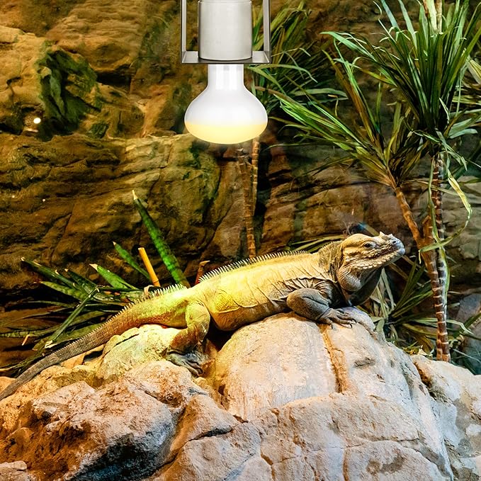 Reptile Ceramic Socket, Heat Lamp Holder for Terrariums and Vivariums, Gecko Lizard Heat Lamp Bracket Light Fixture, Bulb Not Included Trakem