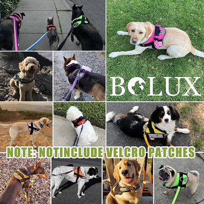 Bolux Dog Harness, No-Pull Reflective Dog Vest, Breathable Adjustable Pet Harness with Handle for Outdoor Walking - No More Pulling, Tugging or Choking (X-Small (Pack of 1), GreenYellow) Bolux
