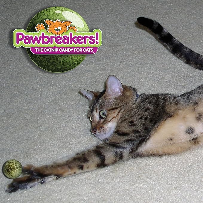 4 Bonkas Catnip Balls - All Natural cat Treats, Medical Grade Catnip Treat and Toy, Catnip for Cats, Safe & Digestible, Hypoallergenic & Vegan - 1.25 inches Diameter, Made in USA - PAWPICO