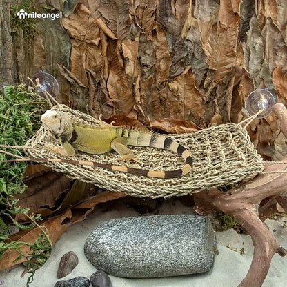 Niteangel Bearded Dragon Hammock Reptile Lounger for Chameleon, Lizards, Gecko, Snakes, Lguana Reptiles, Tortoises (Rectangle 16'' x 8'') Niteangel