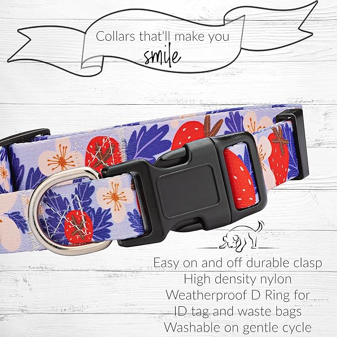Lucky Love Dog Collars, Strawberry Cute Girl Dog Collar, Medium Dog Collars for Females, Part of Purchase Donated to Rescue (Medium, Sweet Berry, Collar) LuckyLoveDog