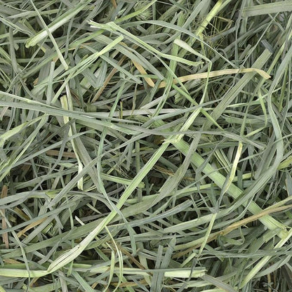 Oxbow Animal Health Orchard Grass Hay - All Natural Grass Hay for Chinchillas, Rabbits, Guinea Pigs, Hamsters & Gerbils - 15 oz. OxbowAnimalHealth