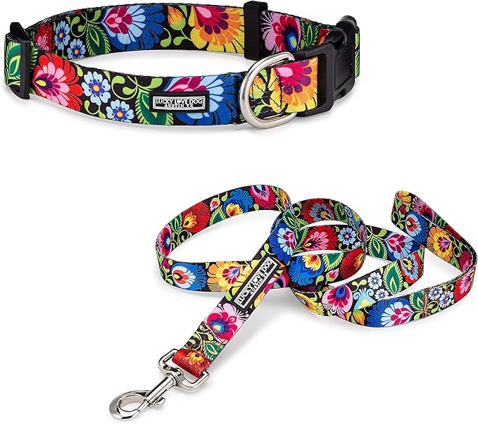 Lucky Love Dog - Easy Click Buckle Dog Collar with Leash Set Combo, Durable & Comfortable Collar for Male & Female Dogs, Pet Collar for Small to Large Dogs, Secure Fit - Blackbird Combo, Large LuckyLoveDog