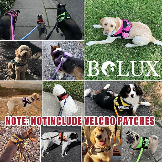 Bolux Dog Harness, No-Pull Reflective Dog Vest, Breathable Adjustable Pet Harness with Handle for Outdoor Walking - No More Pulling, Tugging or Choking (Flag, Medium) Bolux
