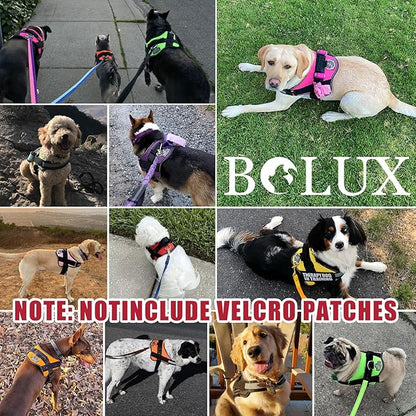 Bolux Dog Harness, No-Pull Reflective Dog Vest, Breathable Adjustable Pet Harness with Handle for Outdoor Walking - No More Pulling, Tugging or Choking (Flag, Medium) Bolux