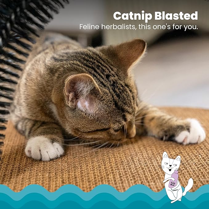 Catstages Scratch & Groom Corrugated Cat Scratch Pad with Catnip - PAWPICO