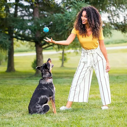 Nutrish Rachael Ray Real Salmon, Veggies & Brown Rice Recipe Dry Dog Food, 13 lb. Bag - PAWPICO