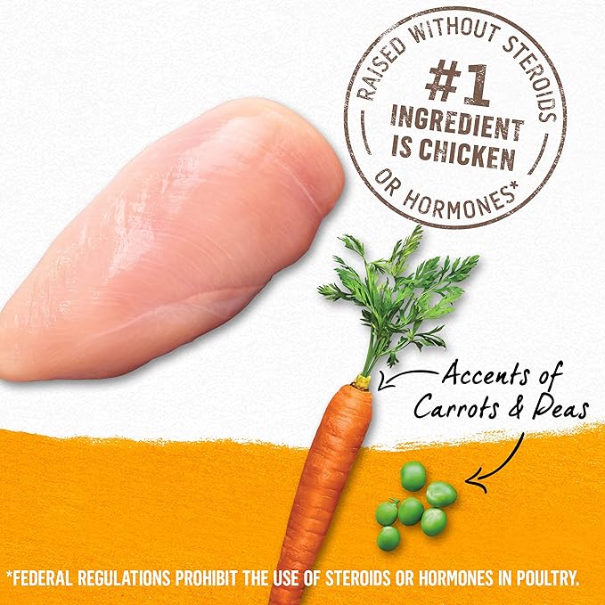 Purina Beyond Grain Free, Natural Pate Wet Dog Food, Grain Free Chicken, Carrot & Pea Recipe - (12) 13 oz. Cans - PAWPICO