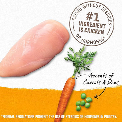 Purina Beyond Grain Free, Natural Pate Wet Dog Food, Grain Free Chicken, Carrot & Pea Recipe - (12) 13 oz. Cans - PAWPICO