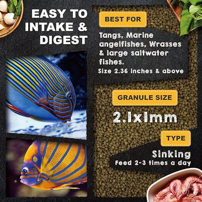 Ultra Fresh Marine Fish Food, 75% Sword Prawns + Squids, Natural Protein, Color Enhancement, for Large Saltwater Fish, Marine Shrimp Patties L 2.12oz UltraFresh-ShrimpDelight