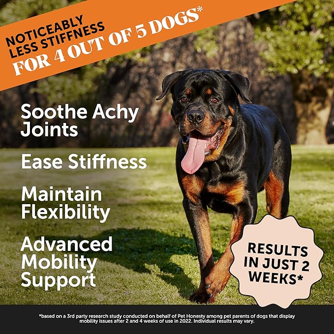 Pet Honesty Hip & Joint Health Max Strength - Natural Joint Supplement for Dogs Chews - Glucosamine, Omega-3s, Chondroitin, Green Lipped Mussel - Help Improve Mobility, May Reduce Discomfort (90 ct) PetHonesty
