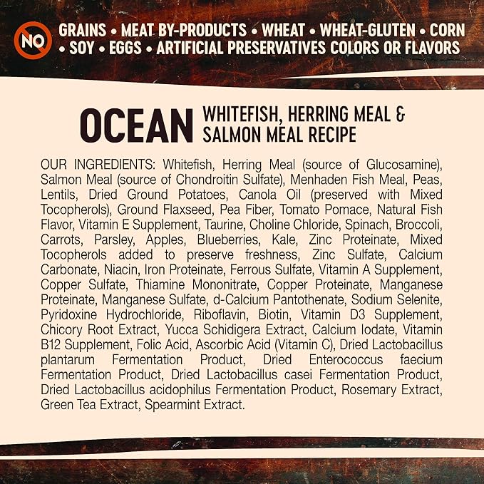 Wellness CORE Grain-Free High-Protein Dry Dog Food, Natural Ingredients, Made in USA with Real Meat, All Breeds, For Adult Dogs (Ocean Whitefish, Herring & Salmon, 26-Pound Bag) - PAWPICO